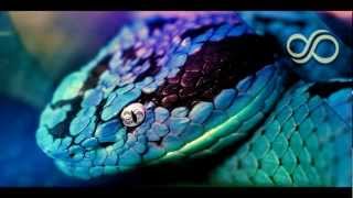 Snake Eyes - Feint (feat. CoMa) FULL! [Monstercat Release]