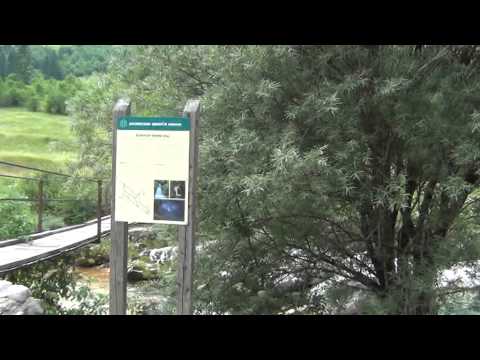 Slovenia Alps.At Camp site Polovnik 2012.06. 6