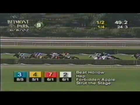 2002 Manhattan Handicap