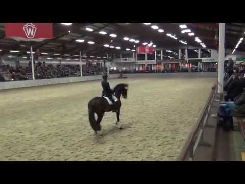 FRANZISKUS (Fidertanz x Alabaster) & Ingrid Klimke