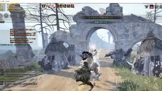 【黒い砂漠】RGで知識集め