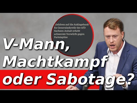 Warum Wenzel Schmidt der AfD maximal schaden will!