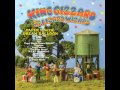 Most Of What I Like by King Gizzard and the Lizard Wizard