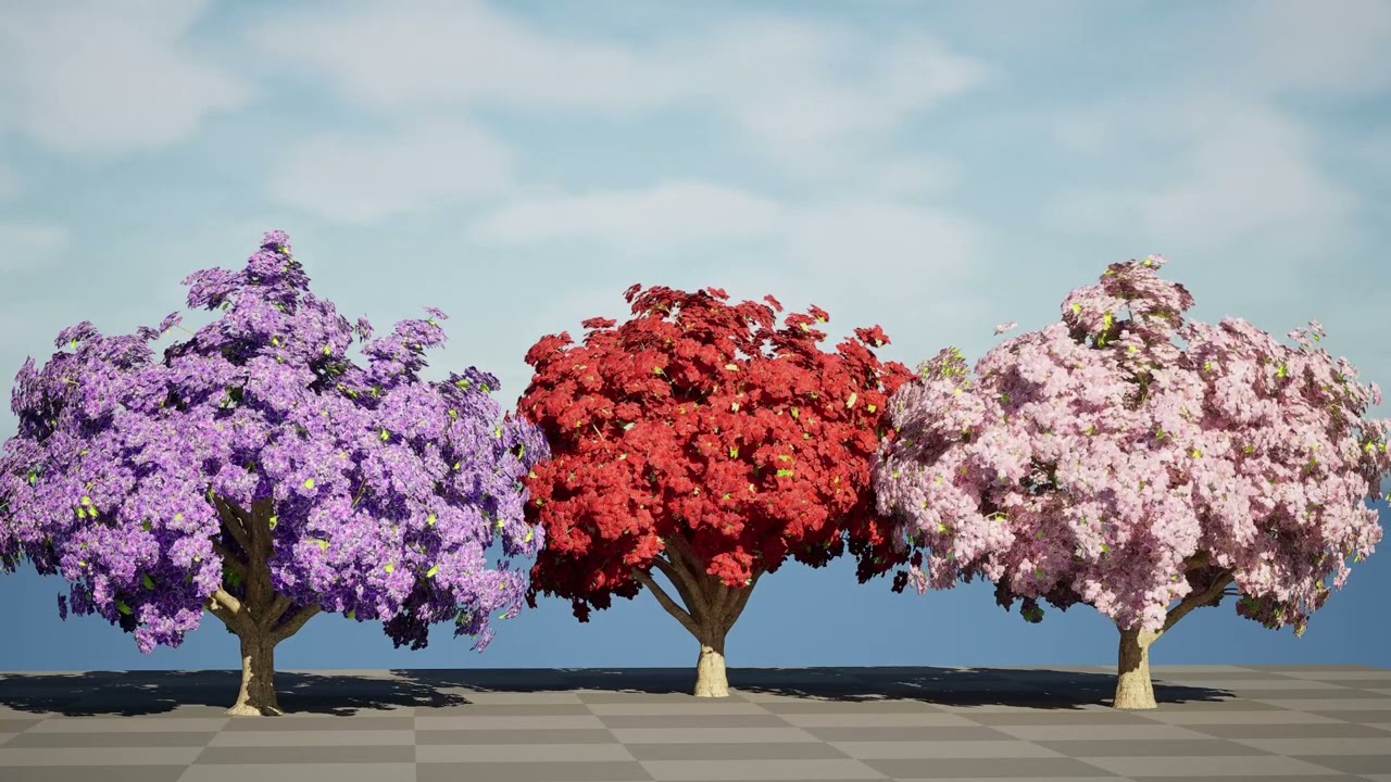 ジャカランダの木のモデル 3Dモデル