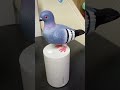 Amazon Finds Gadgets Kitchen Shop Shopping Hack Are Home House Decor Have Viral Reels
