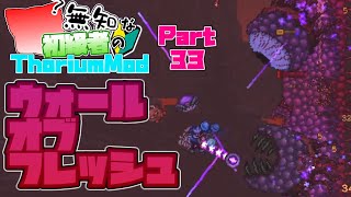 【ゆっくり実況】無知な初級者のThorium Mod Part33【Terraria】