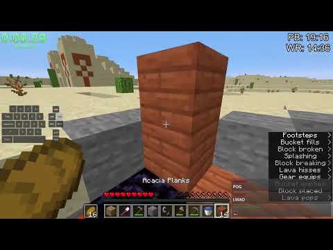 Illumina Gets World Record for Fastest Nether Portal Built