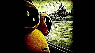 Cover art for FOR THE DAMAGED CODA FUNK