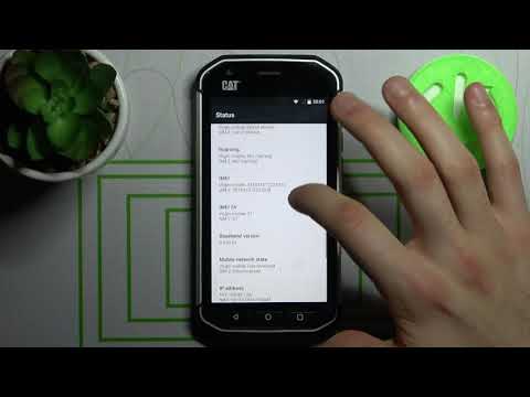 How to Check Device Model on CAT S40 - Find Device Model