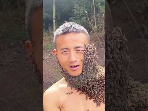 This Is The Bee Man #shorts #bees