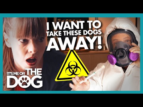 "Worst Dog Owner Ever' Has Victoria Threatening to Take Pets Away | It's Me or the Dog