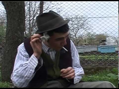 Prostia omeneasca youtube