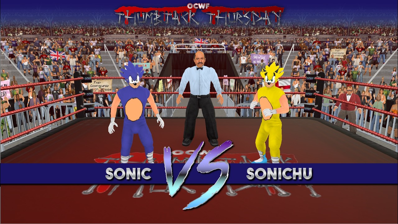 OCWF S1484 Sonic VS Sonichu