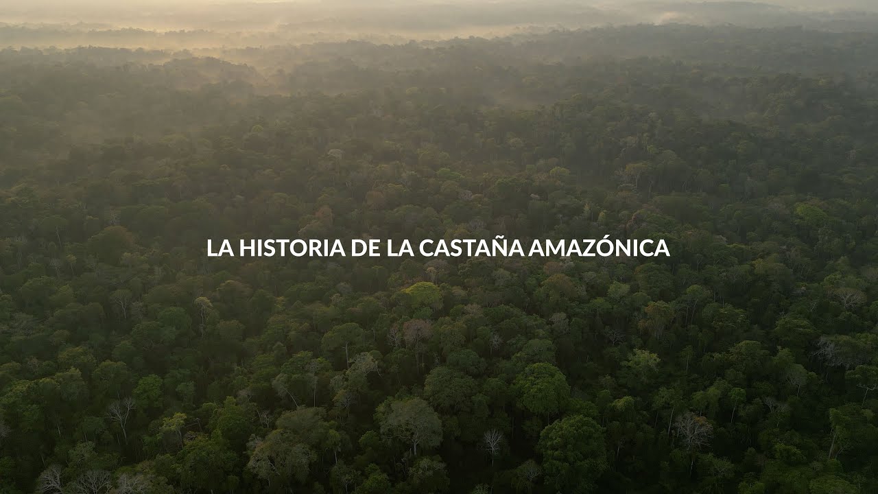 INARSAC — La ruta de la casta&ntilde;a