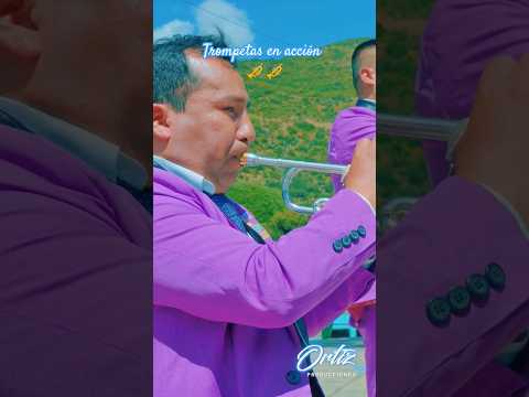 Sesión trompetas 🎺 Mix Santiagos Gran Banda Melodías AUQUIATO 💙