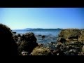 Sea of Nectar ♥ Instrumental ڰۣڿڰۣ ♥ ڰۣڿڰۣ   Aaron English