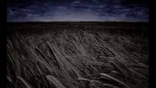 Pale Saints - King Fade