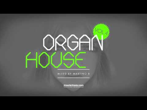 Martino B ● Organ House v004 (December 2015)