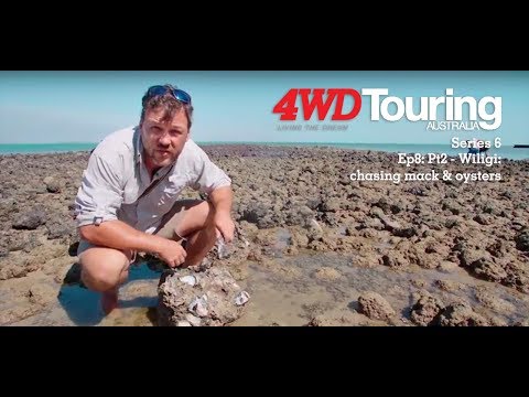 Series 6: The Edge - Ep8: Pt2 - Wiligi: Chasing macks and oysters