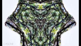 Korallreven - Here In Iowa