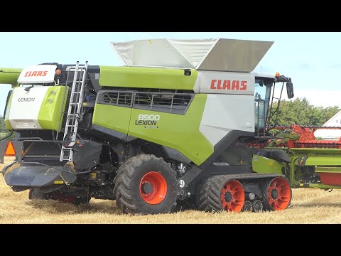 Claas Lexion 8900 - THE WORLD BIGGEST COMBINE - Harvesting Barley in Denmark | BIG FARMING | DK Agri