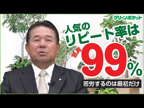 経済学科 観葉植物レンタルは収入が安定⁉︎利益が上がり続ける理由は？