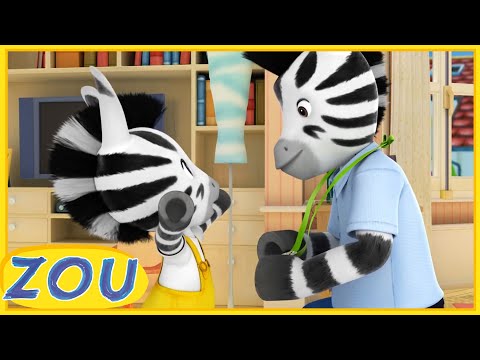 NUOVI EPISODI! Zou in italiano 🥇 Una zebra molto importante 🏆 Cartoni animati