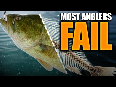 Fishing Is Hard UNTIL You Fix These MISTAKES