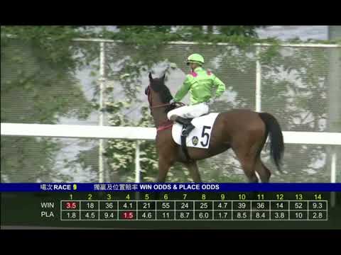 2022 06 05 第九場 超級綠洲 巴度