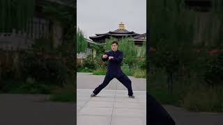 陈氏太极拳老架二路全程口令带练 #太极 #太极拳 #陈氏太极拳老架二路 #7天学会1套太极拳 #太極拳