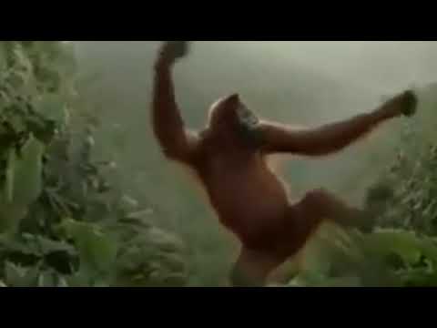 #029_Montagssong 11.06.2018 Sash! - Ecuador