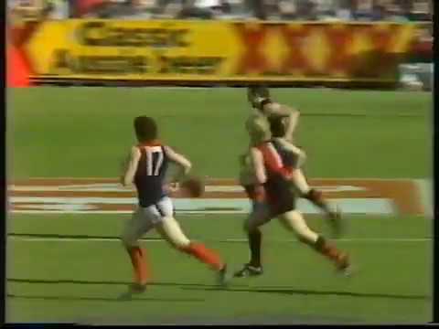 1988 Essendon vs Melbourne highlights recap