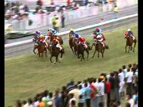 Day 26 Race 1 - MC NAUGHT - K. Gundowry