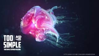 Tristam &amp; Stephen Walking - Too Simple (Drumstep) HD