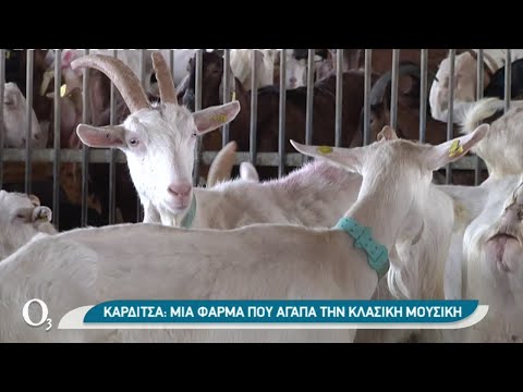 , title : 'Φιλόμουσες κατσίκες σε φάρμα στην Καρδίτσα | 12/03/2021 | ΕΡΤ'