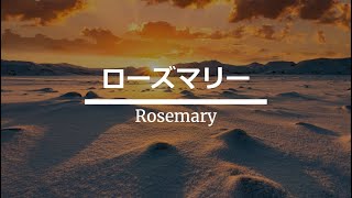 Download lagu エルガー「ローズマリー」【ピアノ】 mp3 Download lagu エルガー「ローズマリー」【ピアノ】 mp3