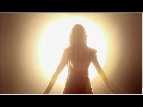 The Janitors - Nevereverism