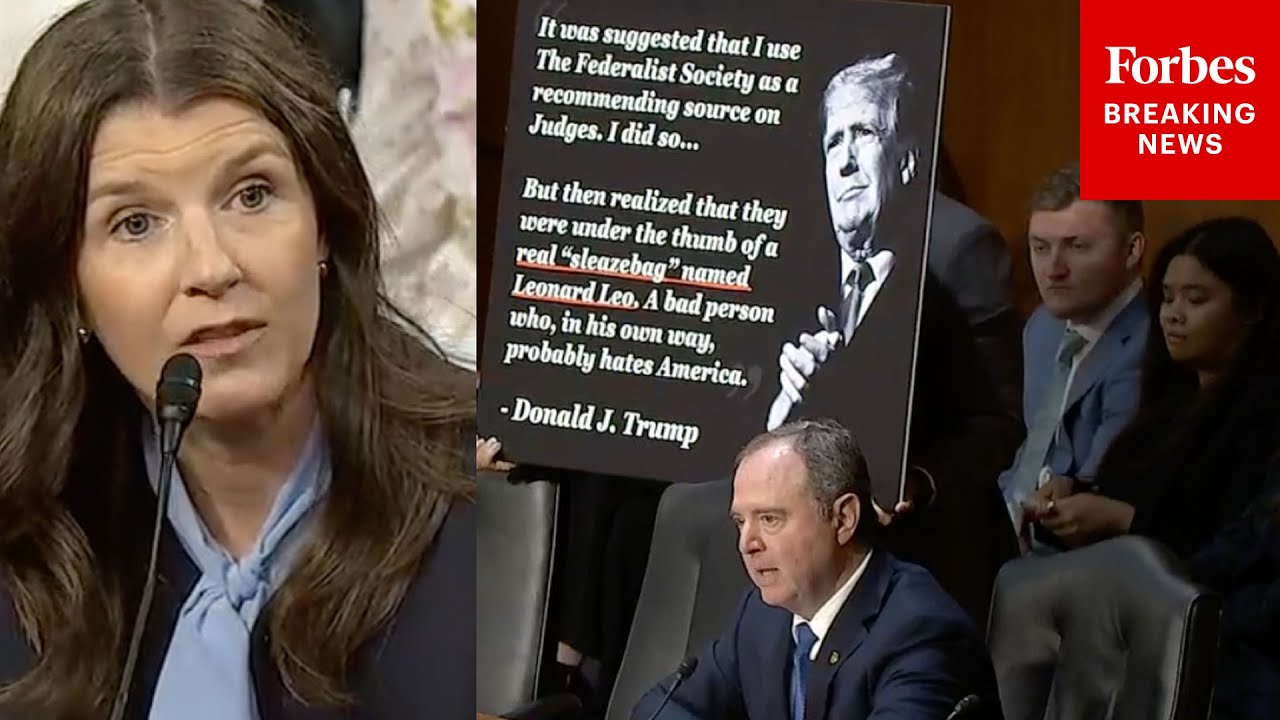 'Do You Concur With The President's Assessment That He's A Sleazebag?': Schiff Grills Judicial Nom