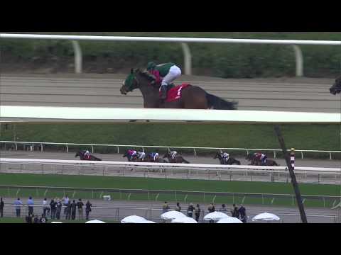 2013 California Breeders Champion Stakes (Fillies)