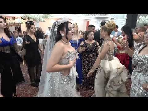 haide dade 2 Nunta David si Loredana in alexandria 21 august 2024 #Justfilm marian