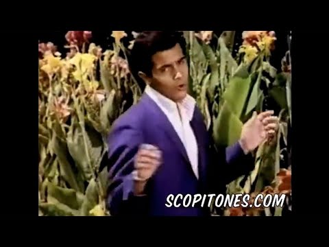 Vic Dana “It’s A Most Unusual Day” 1966 [HD with Remastered TV Mono]