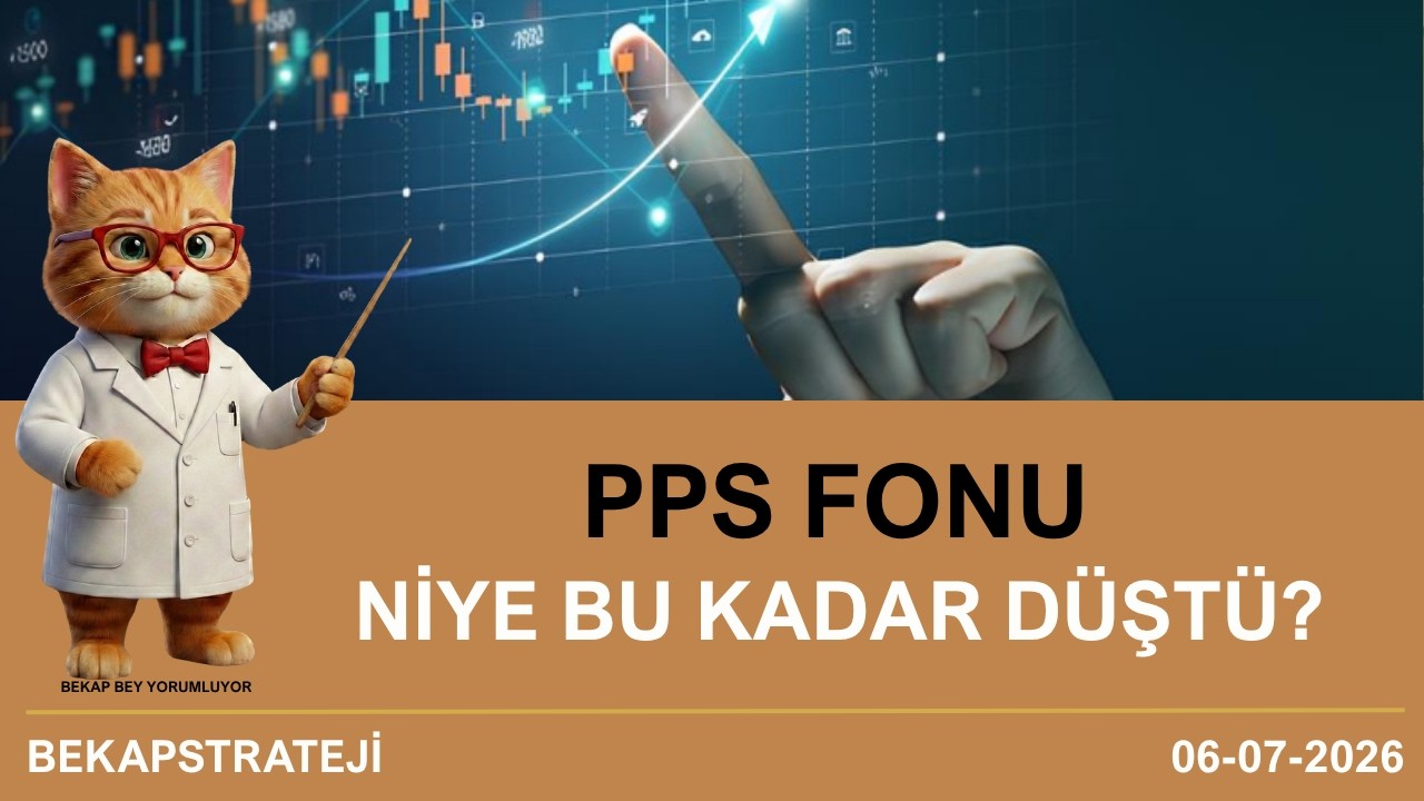 PPS Fonu Niye Düşüyor?