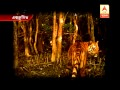 Sundarban Tiger Census