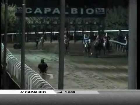 Premio Città di Capalbio 2012 (HANDICAP)