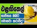 එළඟිතෙල් භාවිතය ඔබට මොනවා කරාවිද Benefits Of