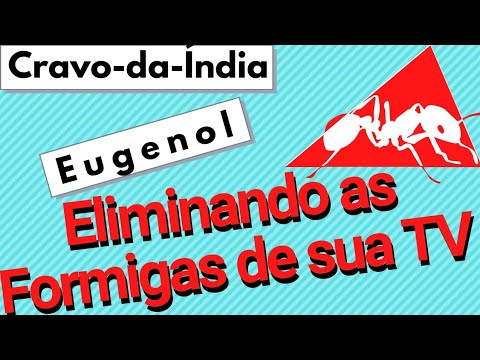 Curiosidades – Eugenol – Cravo da Índia   Eliminando as formigas de sua TV