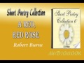 A Red, Red Rose Robert Burns Audiobook Short ...