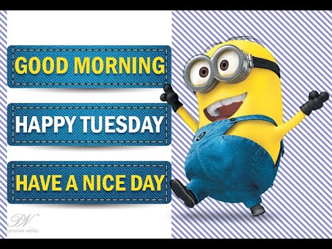 Happy Tuesday Video - Happy Tuesday Wishes
