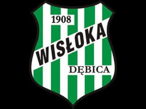 Zgody, układy i kosy Wisłoka Dębica