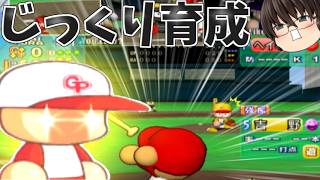 【パワプロ10】2～3時間かけてじっくり育成するサクセスも好き【頑張パワフルズ編①】